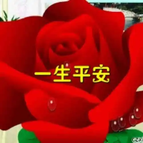 愿同学们一生平安,下次聚会再相见