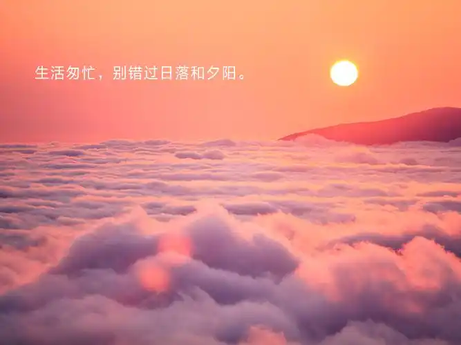 唯美又温柔的句子,适合日常发的高级状态文案