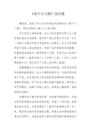 两个小八路读后感