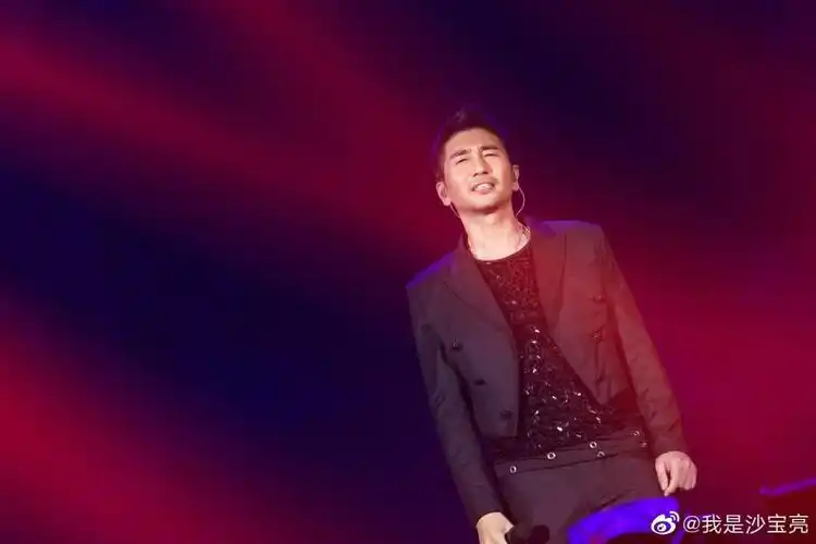 沙宝亮近照苍老认不出胡子头发已半白状态不如大9岁毛阿敏