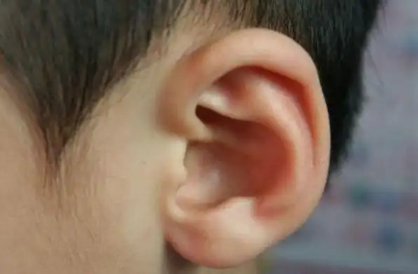 耳听八方财耳朵的形状透露着一生的运势看看你是哪一种