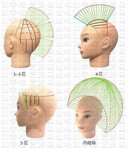 发型内结构分解