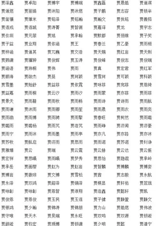 姓贾的男宝宝名字独特稀少好听有涵养的高分男孩名