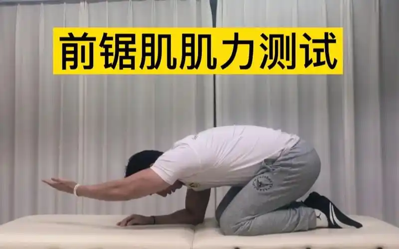 活动  前锯肌肌力测试,跪姿俯身抬手臂实验,你能做得了吗?