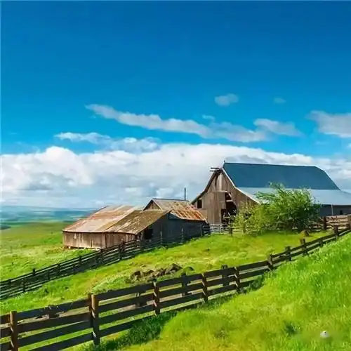 中老年头像大全:微信吉利招财头像图片风景