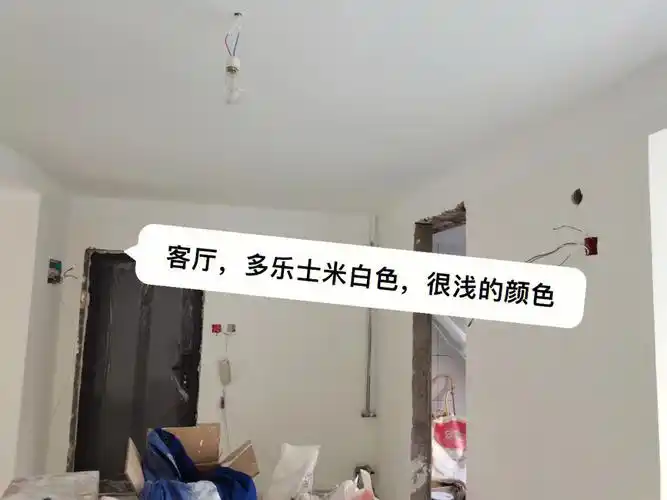 多乐士米白色皓白象牙白骆驼颜色反馈