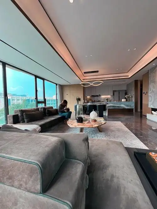 成都万象城204平豪宅大平层270度双面采光