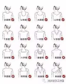 决定优雅度的曲线颈部