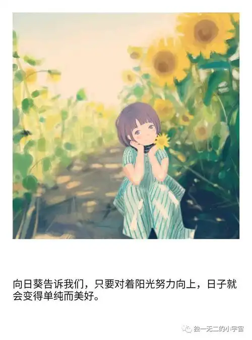 向日葵告诉我们,只要对着阳光努力向上,日子就会.