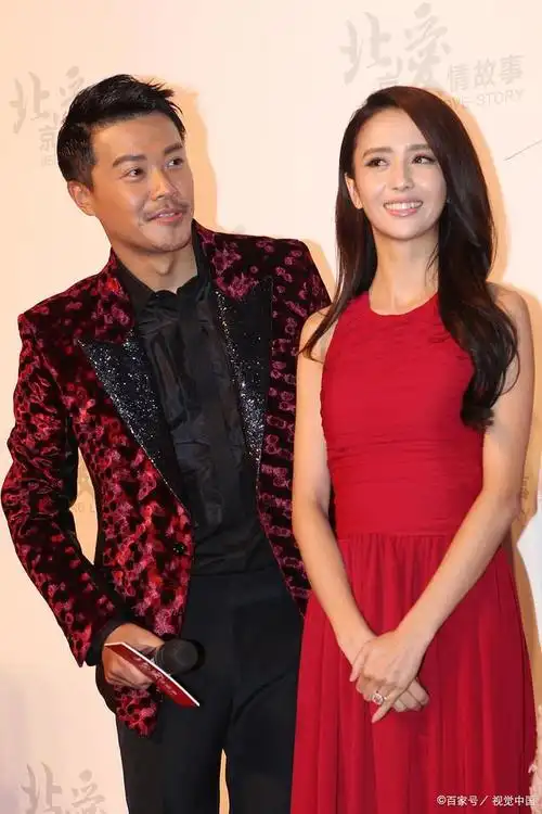 陈思诚高调为前妻佟丽娅庆生?这背后有何含义?