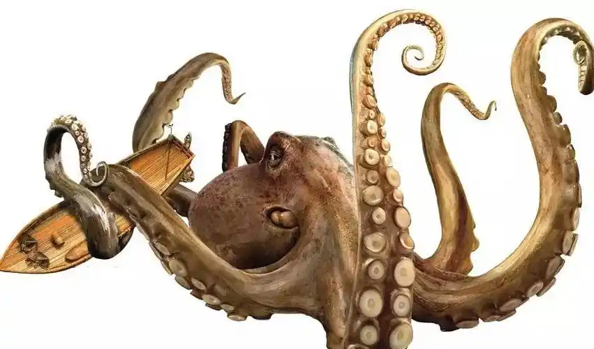 你绝对想不到章鱼的智商有多可怕?