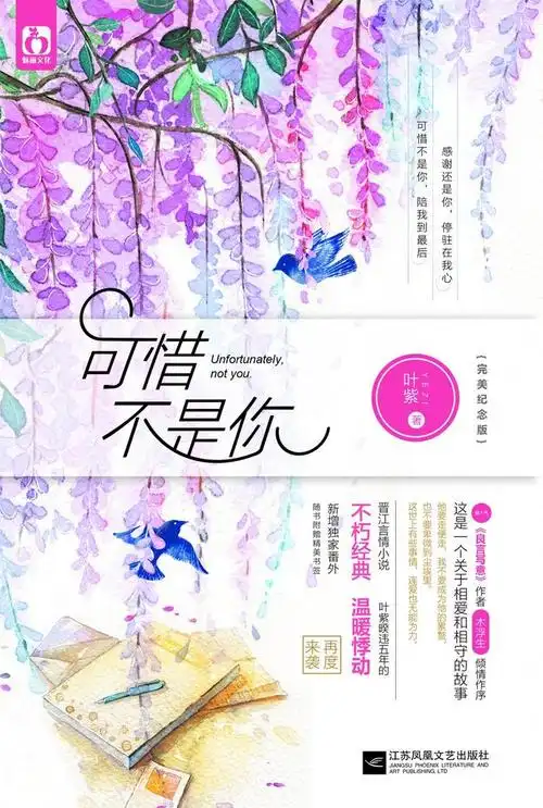 可惜不是你/叶紫-图书-亚马逊中国