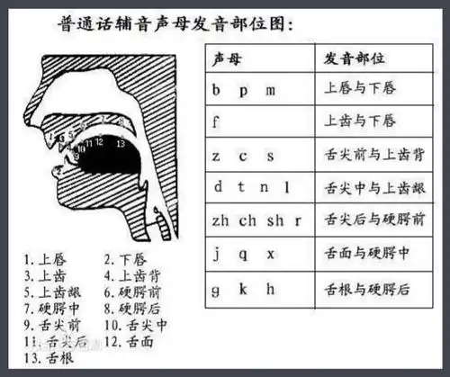 发声位置的了解掌控对于演唱技巧发挥的重要性