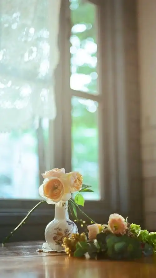 小清新唯美花卉静物摄影手机壁纸