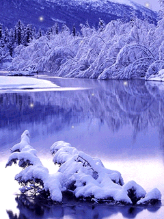 动态自然风景手机墙纸 (240*320)