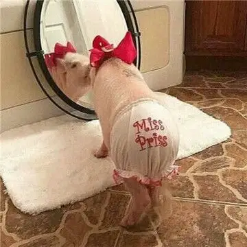 情侣头像搞笑逗比一对 一对奇葩微信头像情侣专用