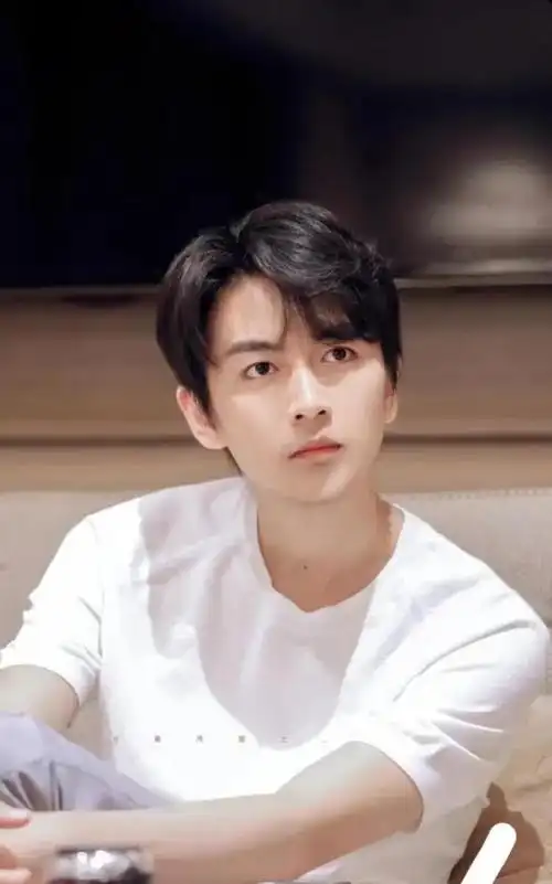 陈晓身上真的有那种中国东方古典美男的气质和韵味,陈晓长得太好看了