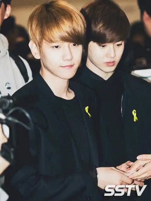 金俊勉 边伯贤 exo