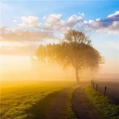 成熟男人微信头像风景大全