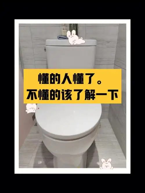 还有人质疑智能马桶盖用过后你会爱上的