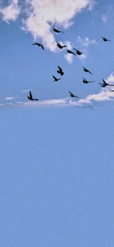 手机壁纸 聊天背景图 ins 杂图 蓝色"我推开那么多人最后还是没能