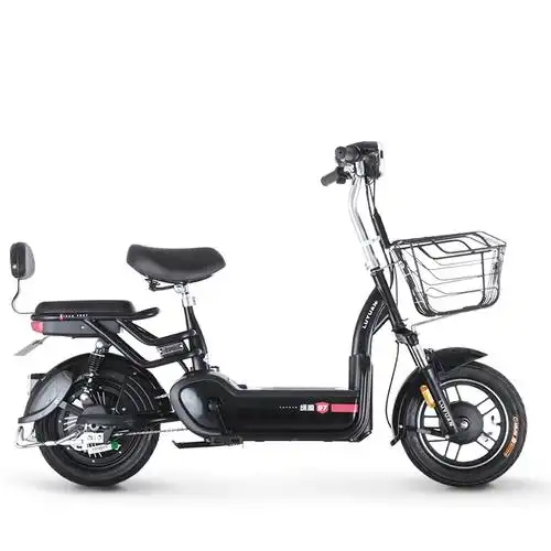 绿源新国标电动车小型成人电动自行车fbb2男女双人助力代步电瓶车