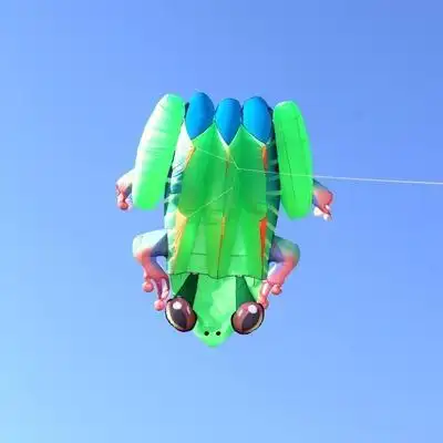 新款软体青蛙风筝 潍坊软体绿蛙风筝 树蛙蛤蟆线具老店