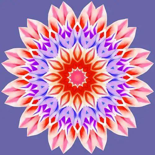 曼陀罗来自干压花花瓣樱草属植物月见草曼荼罗是佛教印度教瑜伽的象征