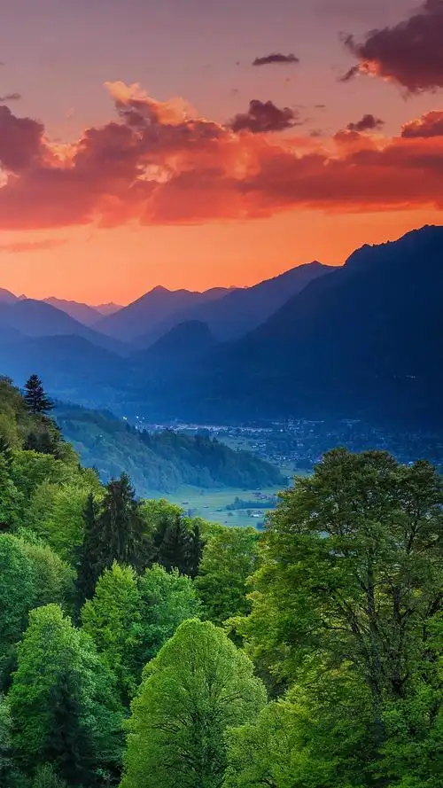 1440_2560竖版 竖屏