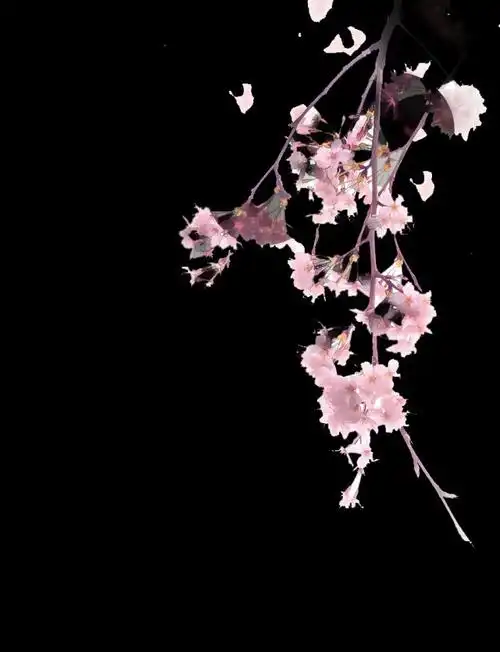 免抠梅花素材古风