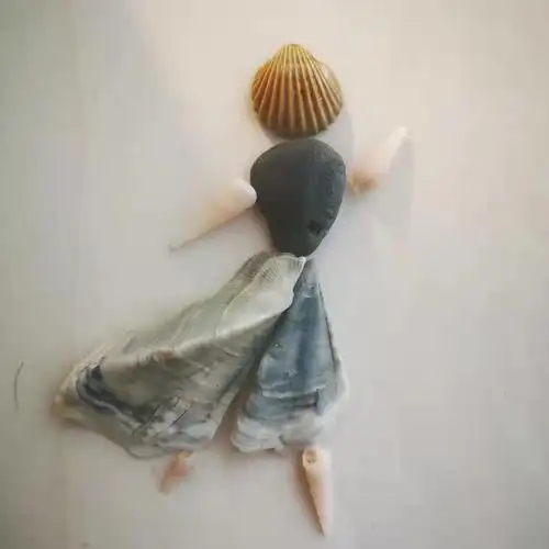 千姿百态的贝壳