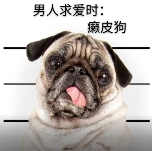 男人和女人结婚前后的区别,是不是躺着也中枪了