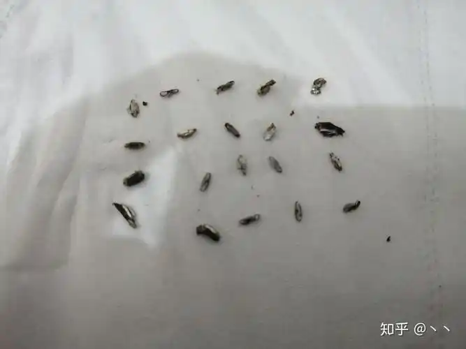 环切包皮手术大家的钛钉都是多久掉了啊,大家用盐水泡了吗?