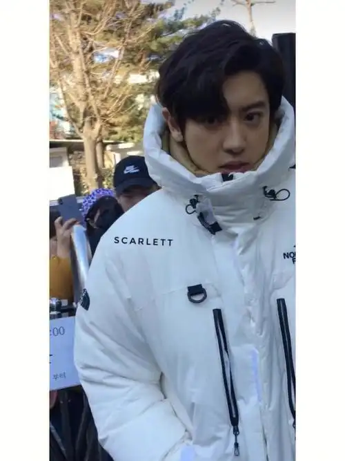 神颜生图20朴灿烈