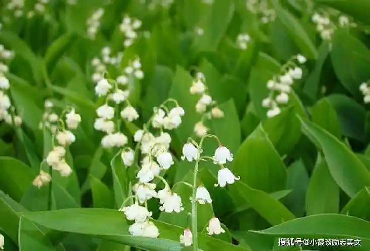 非常经典的关于人生感悟的句子,句句句句在心,寓意深刻_生活_时间