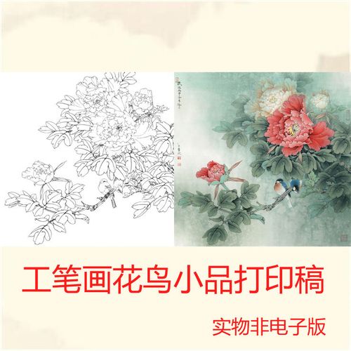 a299工笔画牡丹白描底稿线描稿步骤图文字用色说明勾线实物打印稿