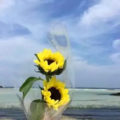 唯美风景头像图片大全高清