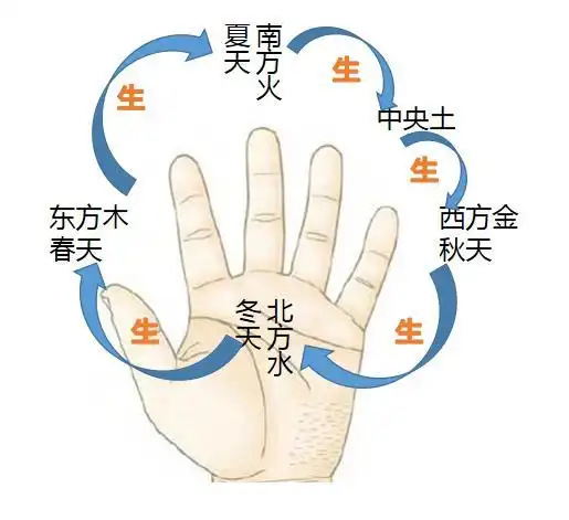 手掌图看五行所代表的季节和方向,竟一目了然,一辈子也忘不了