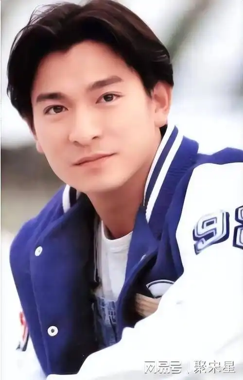 刘德华情史梅艳芳陈玉莲关之琳朱丽倩喻可欣林安琪