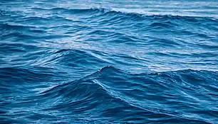 一张海底风景摄影图