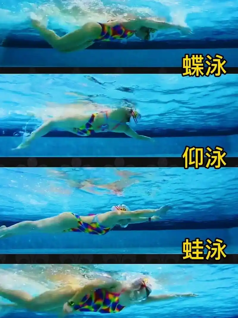 蝶泳,仰泳,蛙泳,自由泳,最全四种泳姿 你全都会了吗?