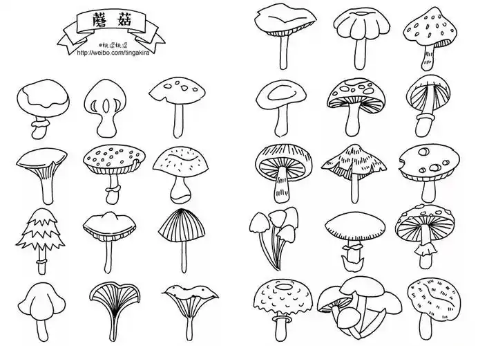 教你画各种小植物,小动物简笔画大全,超级实用,够用一年了