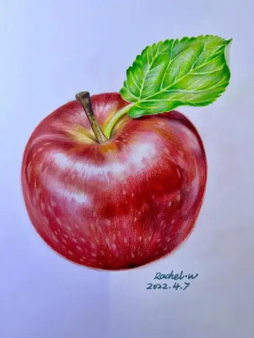 霹雳马90:获多福细纹#插画  #寻找小红书绘画大神  #彩铅  #苹果