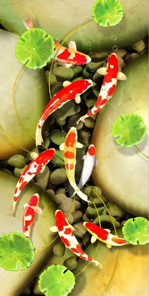 511_1013竖版 竖屏