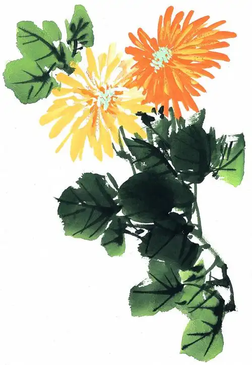 国画菊花图片菊花国画