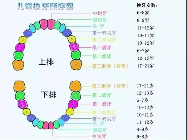 写给家长的儿童牙齿保健常识