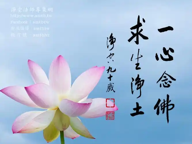 净空法师专集网