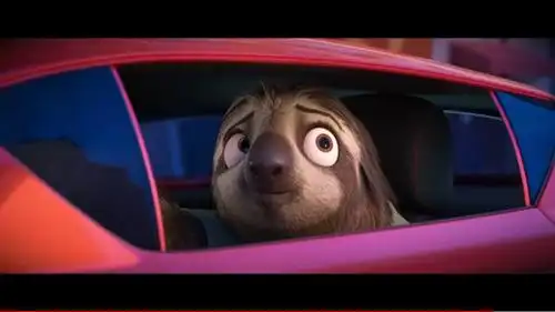 疯狂动物城一篇迟来的感悟