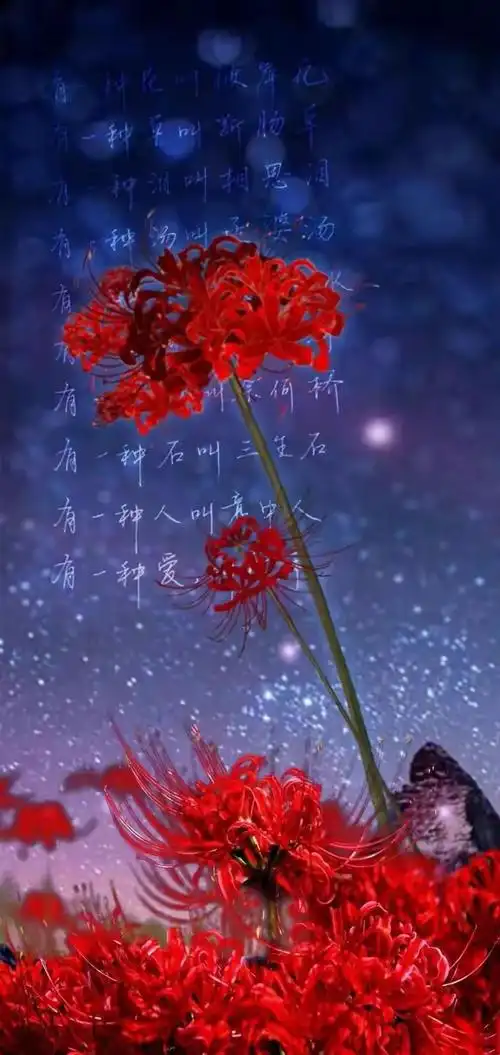 借花献佛分享全屏彼岸花壁纸