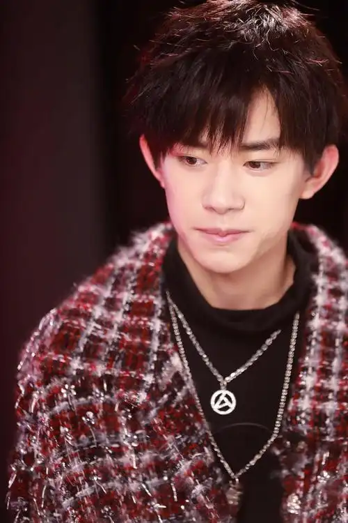 易烊千玺棕红色格纹软呢外套内搭黑色毛衣_新浪看点